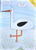 Klimčíková Michaela.jpg